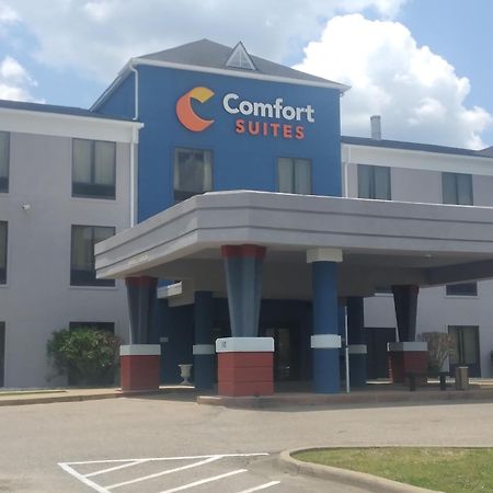 Comfort Suites Airport South Монтгомері Екстер'єр фото